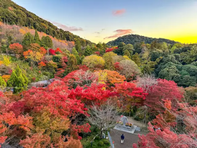 Visiter le Japon, un mélange captivant de traditions anciennes et de modernité de pointe